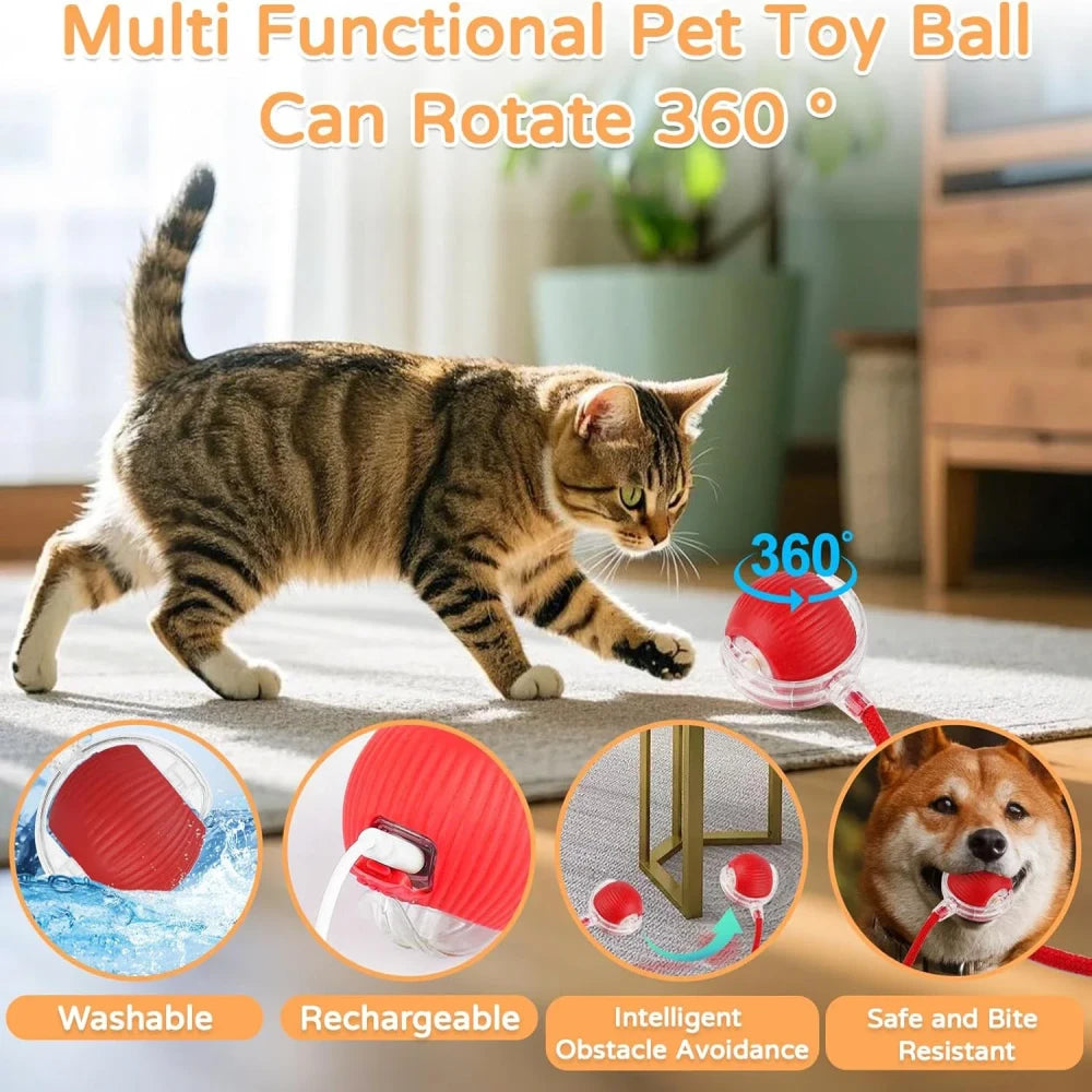 Interactive Automatic Rolling Cat Toy