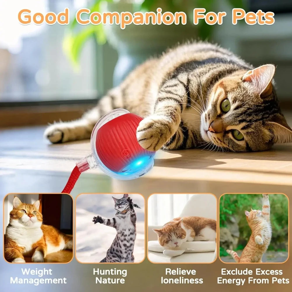 Interactive Automatic Rolling Cat Toy